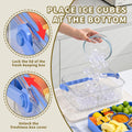 Hegrish Fruit Ice Serving Tray Clear Light Blue 4 Compartments with Lid