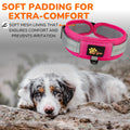 ADITYNA Durable 2-inch AirTag Dog Collar Reflective Metal Buckle Pink Size M