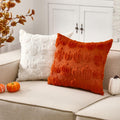 HunnmingRe 2 Pc Pumpkin Throw Pillow Covers 18x18 Orange Autumn Decor