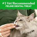 Greenies Cat Treats Adult Natural Dental Tuna Flavor 9.75 oz Tub BEST BY.02/2026