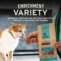 Vital Essentials Freeze Dried Cat Treats Salmon Bites Grain Free 1.1 oz