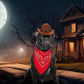 PEUTIER Pet Cowboy Costume Dog Hat & Bandana Brown Red Small
