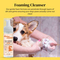Divine Canine Summer Essentials Dog Care Kit Sunscreen Paw Balm