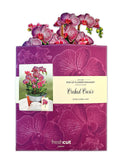 Freshcut Paper Pop Up Cards, 3D Popup Greeting Cards, 12 Inch Life Sized Forever