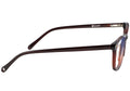 Amber Plus
