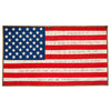 American Flag - Fire Hose - Second Amendment