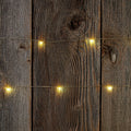 Tiny Lites Battery Operated Silver Wire Indoor LED Light String, Warm White, 4-F