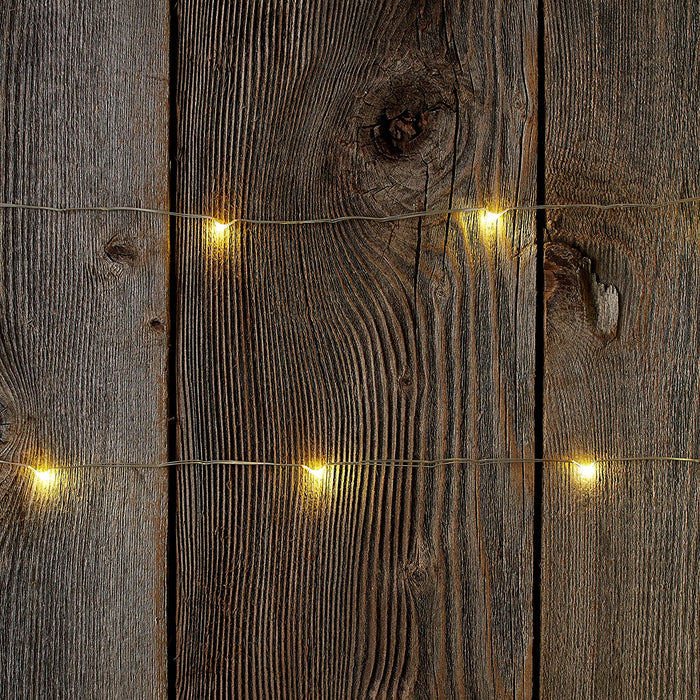 Tiny Lites Battery Operated Silver Wire Indoor LED Light String, Warm White, 4-F