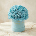 Essence Mint Green Suede Superdome Box | Turquoise Roses