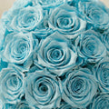 Essence Mint Green Suede Superdome Box | Turquoise Roses