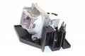 Projector Lamp for Optoma TX TX771; Optoma EzPro EzPro 771; Optoma EP EP771; Optoma DX DX607; 3M AD