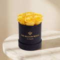 Essence Black Box | Yellow Roses