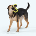 Bumi Ruby