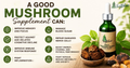Wild Canadian Chaga Elixir