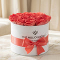Classic White Box | Coral Roses