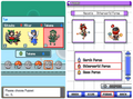 Pokemon Touhoumon HeartGold NDS Nintendo DS Custom ROM Hack Video Game