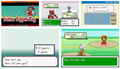Pokemon Touhou Puppet Play GBA ROM Hack Video Game Boy Advance