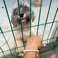 Charming bracelet