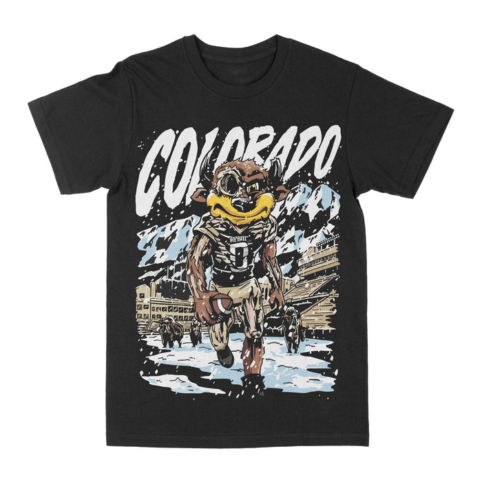 Colorado Graphic Tee