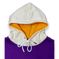 Paneled Hoodie - Purple Reign