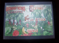 Donkey Kong Country 1 GBA Video Game Cartridge Game Boy Advance 2003