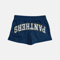 FIU Panthers Mini Mesh Shorts