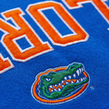Florida Gators Varsity Hoodie