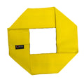 Fire Hose Dog Frisbee