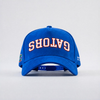 Florida Gators Suede Hat