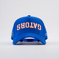 Florida Gators Suede Hat