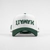 Hawaii Rainbow Warriors Hat