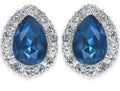 Charter Club Crystal and Stone Earrings, Silver Tone
