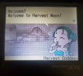 Harvest Moon DS NDS Video Game Cartridge Nintendo DS 2006