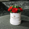 Essence Beige Suede Garden Box | Red Roses
