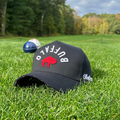 Buffalo Flip Cap