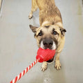 USA-K9 Grenade Rubber Dog Chew Toy | K9 Handler Reward Toy | USA Made
