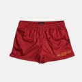 Iowa State Cyclones Mini Mesh Shorts
