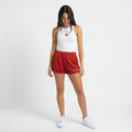 Iowa State Cyclones Mini Mesh Shorts