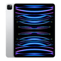 Apple iPad Pro 11 in. 4th Gen (2022) Refurbished - Fair Condition