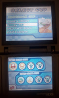 Mario Kart DS NDS Video Game Cartridge Nintendo DS 2005