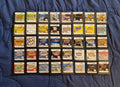 Nintendo DS Video Game Cartridge Collection NDS Pokemon
