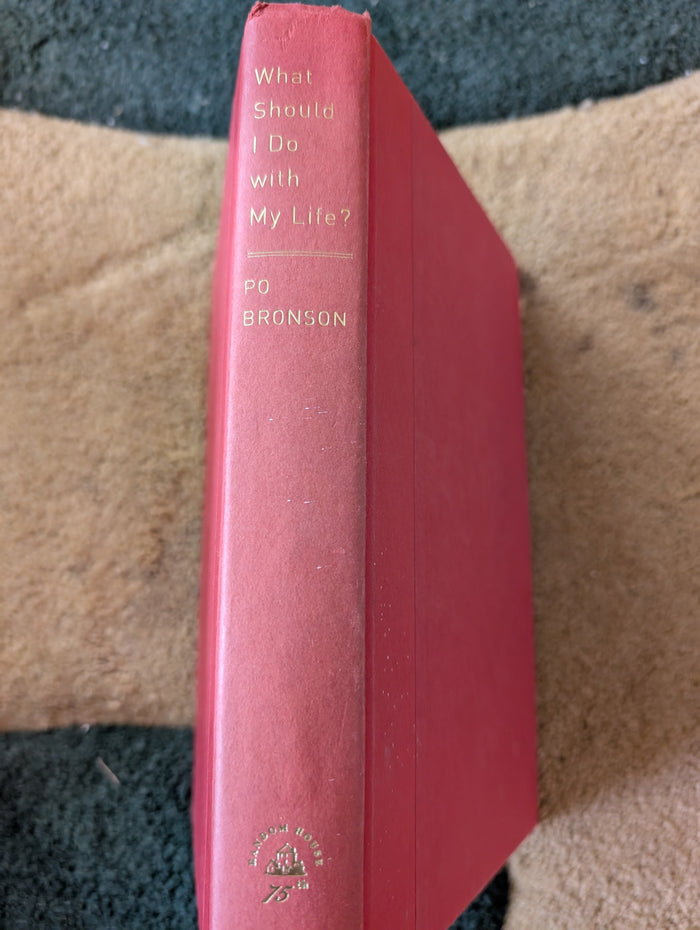 What Should I Do with My Life?: The True Story of People Who Answered the Ultimate Question - Book by Po Bronson