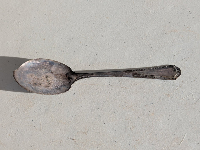 Everlasting (Silverplate, 1949) by Oneida Silver