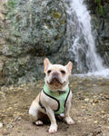 Muddy Paws Reversible Harness