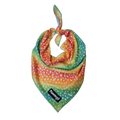 Chasing Rainbows Cooling Bandana