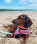 Slumber Pawty Reversible Harness