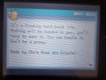 Pokemon Outlaw GBA ROM Hack Video Game Custom Gameboy Advance