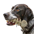 Fish Bone Nylon Dog Toy for Aggressive Chewers | USA Made | SodaPup