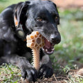 Honey Bone Dental Flower Tower - Indestructible Nylon Dog Chew Toy XL | USA