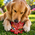 Canadian Maple Leaf Nylon Dog Chew Toy - Indestructible & USA Made